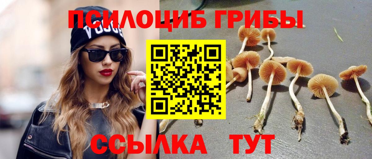 Псилоцибиновые грибы ЛСД  Вход с VPN  Псилоцибиновые грибы Cubensis  Киров 