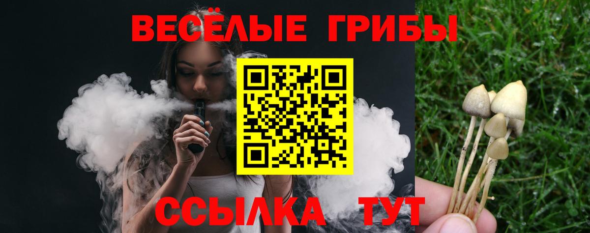 Псилоцибиновые грибы ЛСД Киров